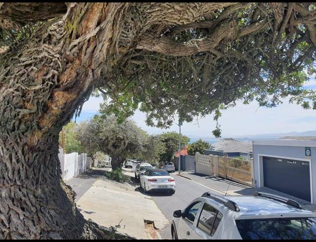 3 BEDROOM PROPERTY TO RENT IN UNIVERSITY ESTATE